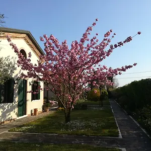Casa Pianta Vendégház Cavallino-Treporti